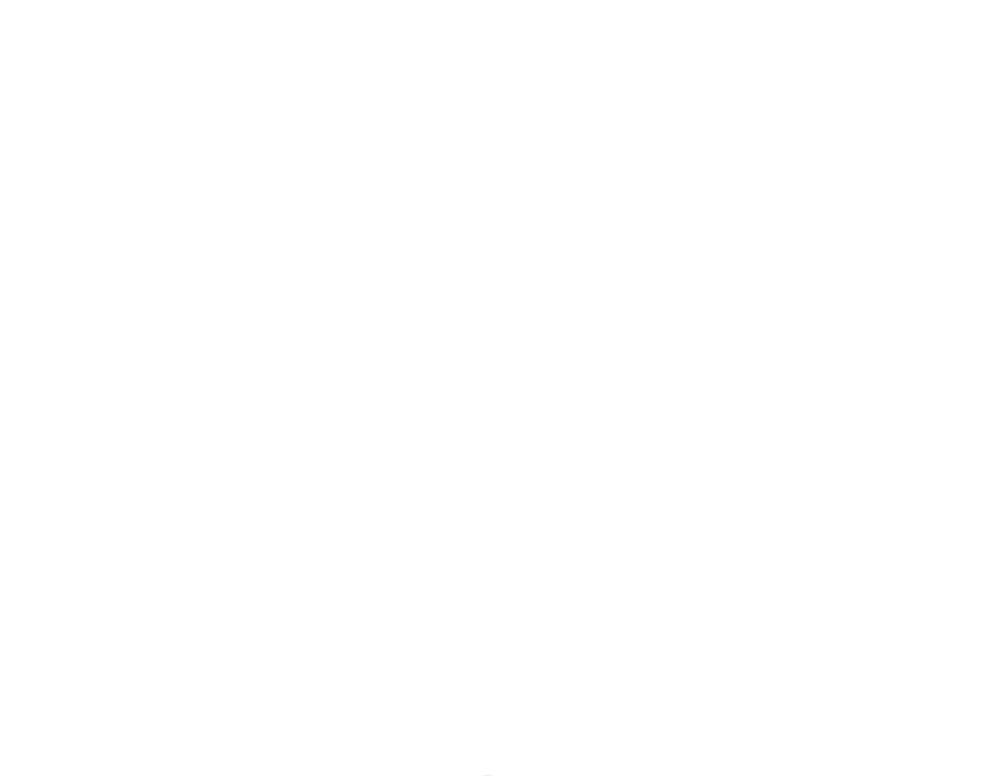 Green srl